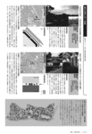 114_boti2.gif